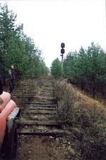 Входной светофор станции Новый Цинглок.